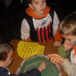 SDC13872 - Scouts en Gidsen Zaventem 
